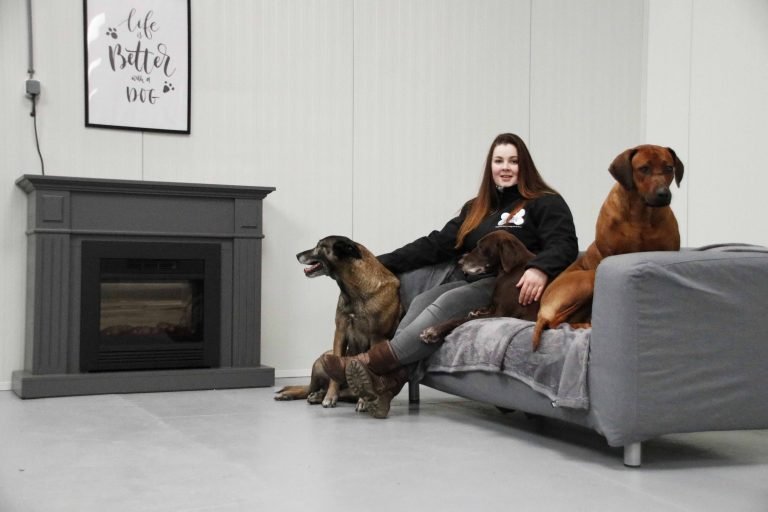 De sfeervolle hondenopvang voor uw hond