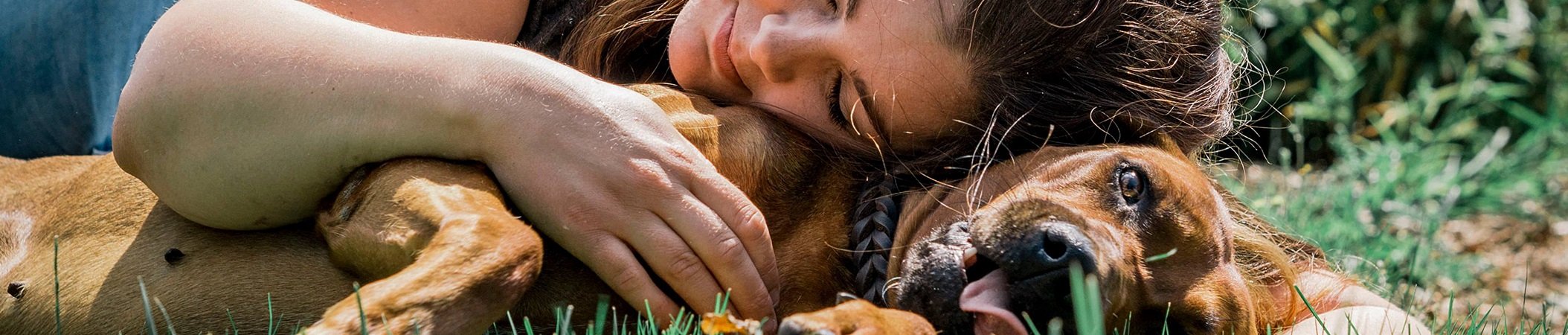 knuffelen-met-hond