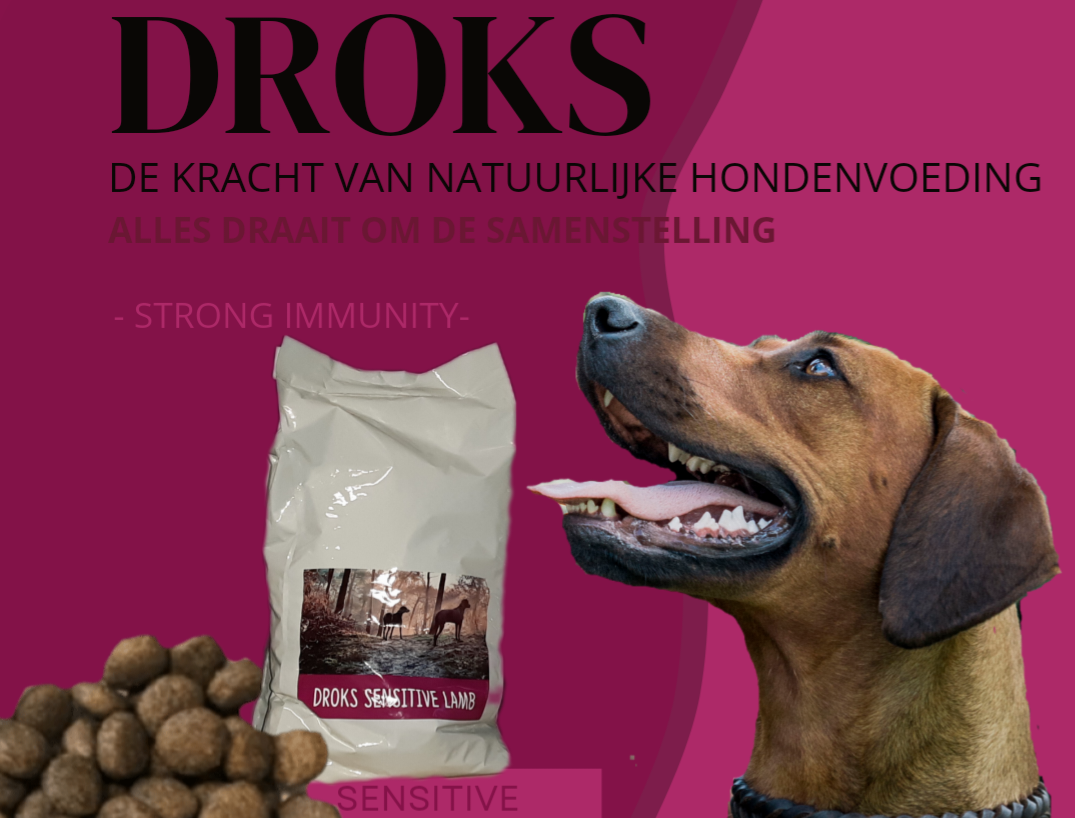 Absorberend Thermisch Verdienen Graanvrij en glutenvrij hondenvoer - Hond & Sfeer